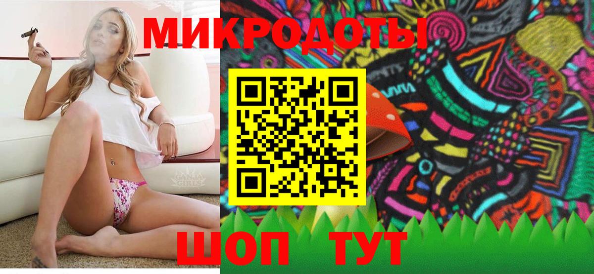 Галлюциногенные грибы Psilocybine cubensis  Вход с VPN  Лесной 